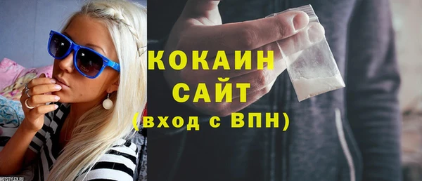 стаф Пересвет