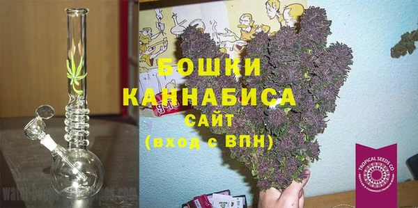 стаф Пересвет