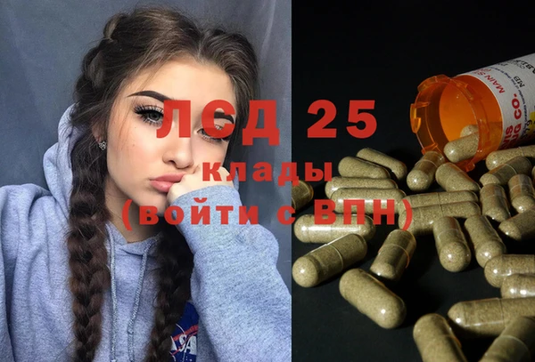 стаф Пересвет