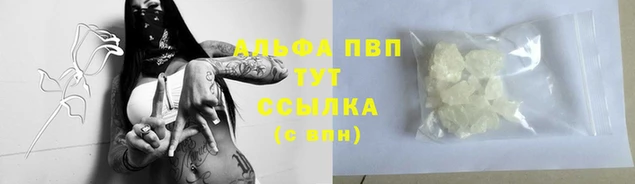 стаф Пересвет