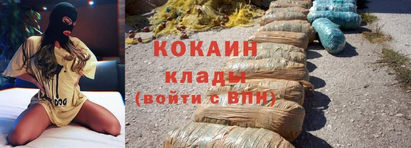 стаф Пересвет