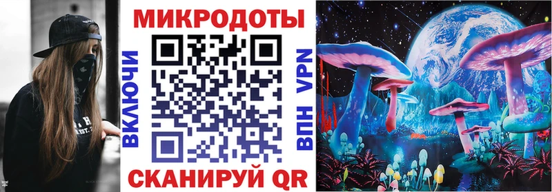 Купить где  Свирск  Псилоцибиновые грибы Psilocybe 